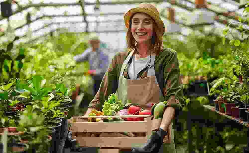 Joe Trading Limited